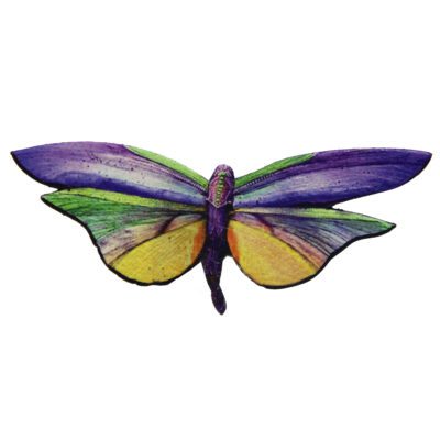 Broche bolboreta 'Libélula bicolor'