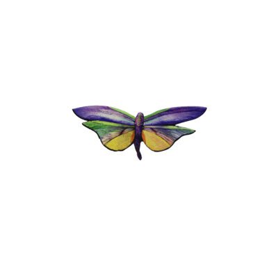 Broche bolboreta pequena 'Libelula bicolor'