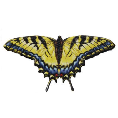 Broche mariposa 'Amarilla azul'