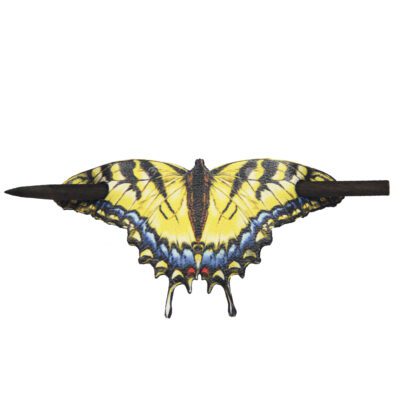 Coletero mariposa 'Amarilla azul'