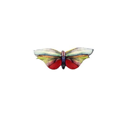Broche mariposa pequeño 'Libelula'