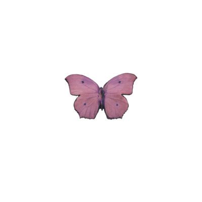Broche bolboreta pequena ‘Fantasy’