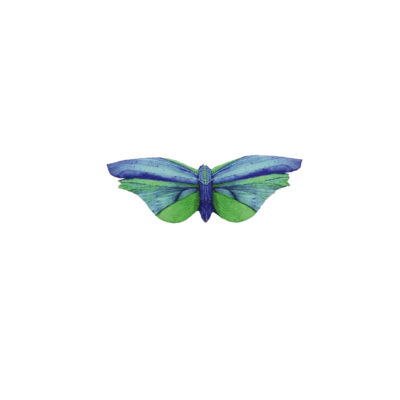 Broche bolboreta pequena 'Libélula azul'
